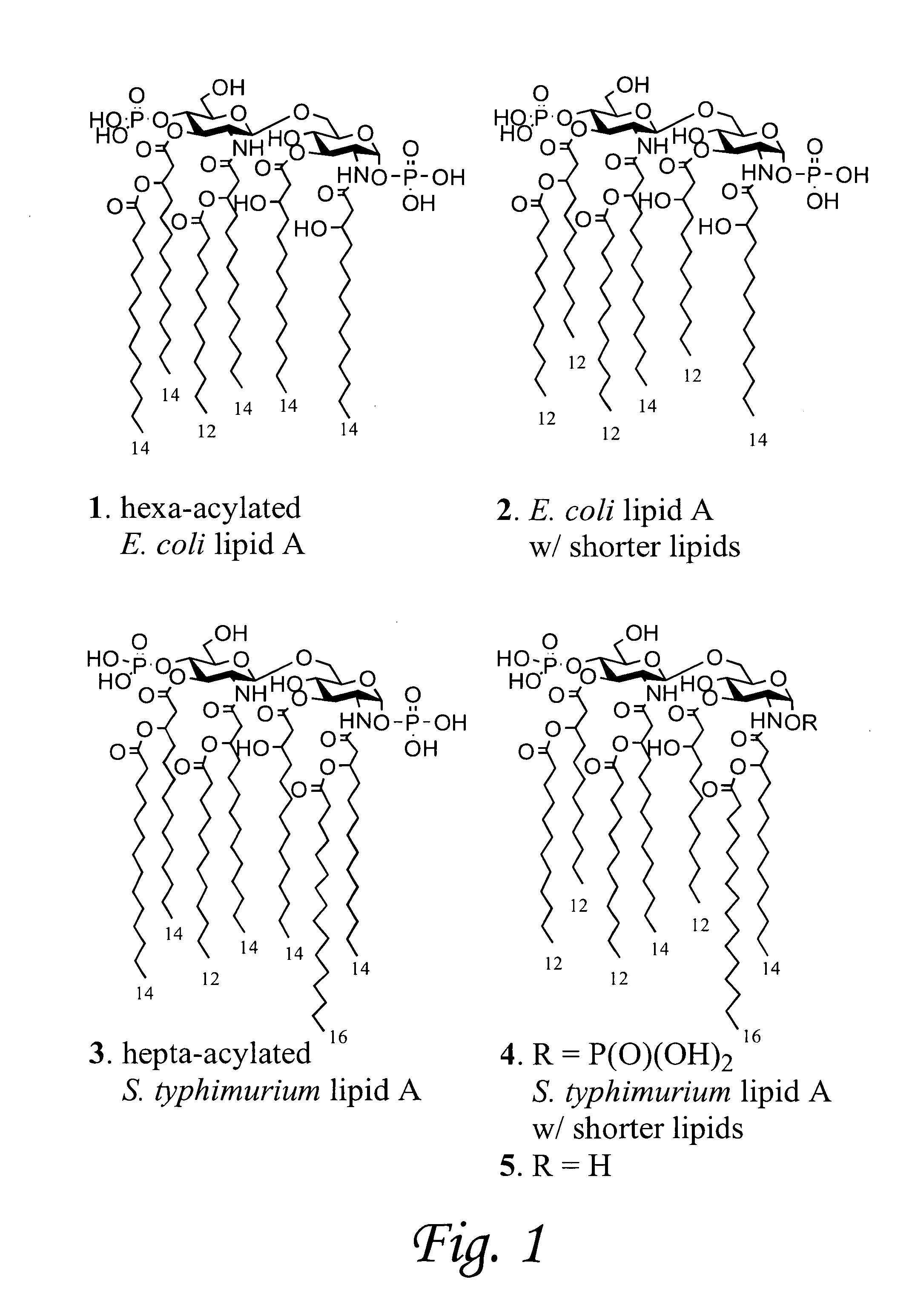 Synthetic lipid a derivative