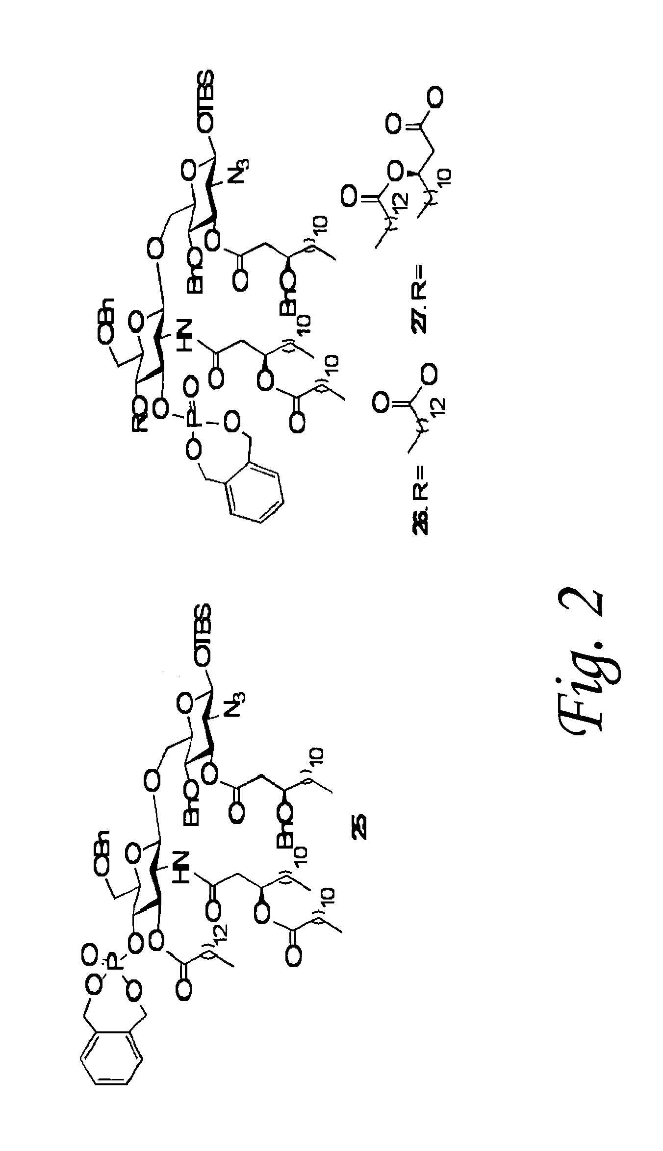 Synthetic lipid a derivative