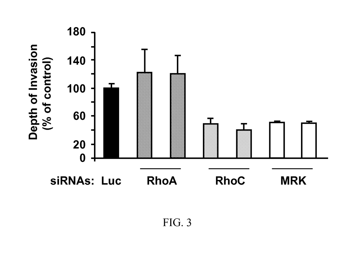 Treatment of solid tumors by inhibiting MRK/ZAK