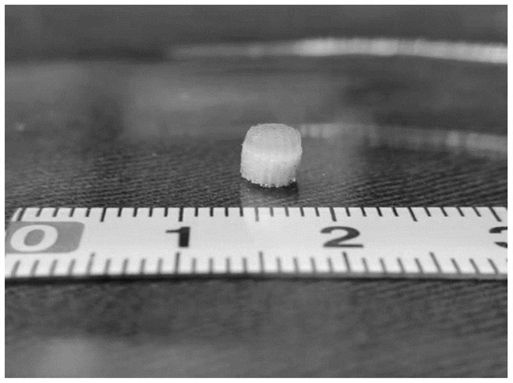 Osteochondral stent as well as preparation method and application thereof