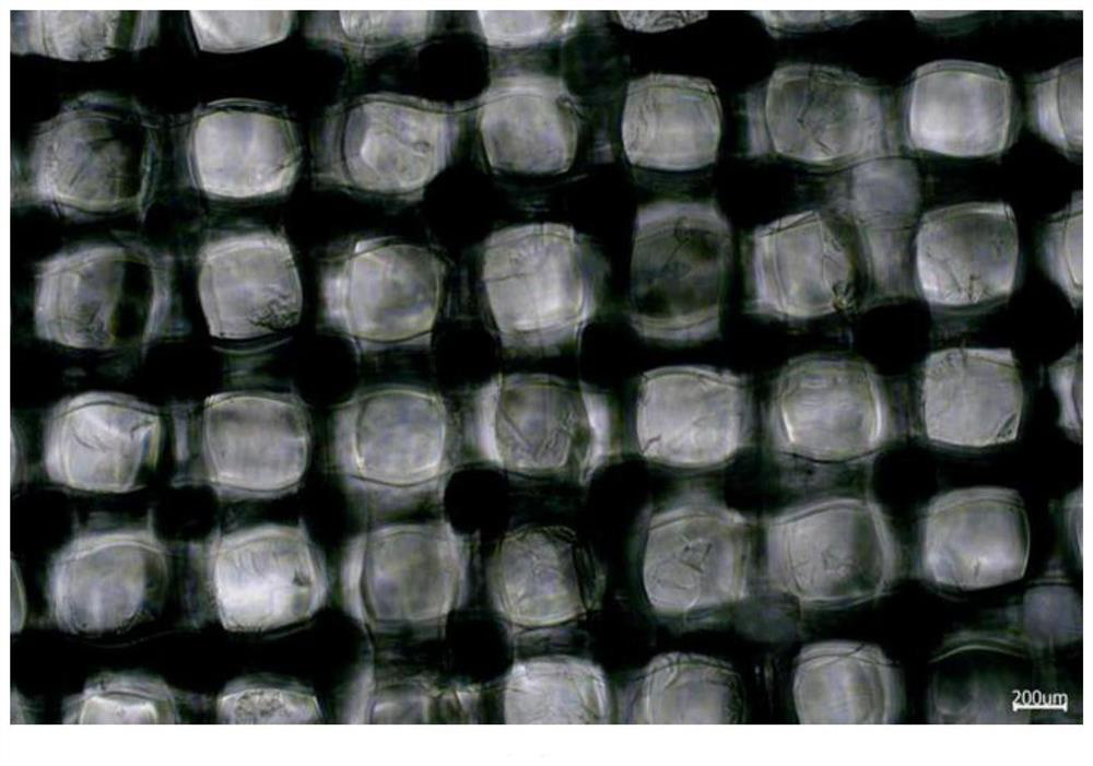 Osteochondral stent as well as preparation method and application thereof