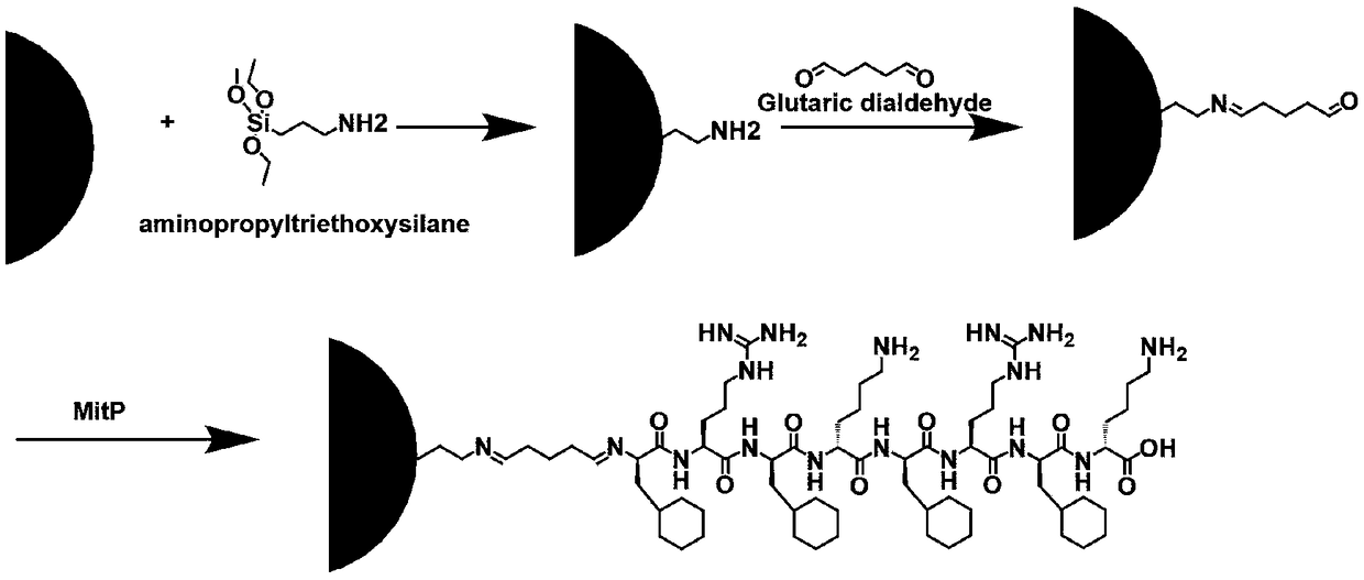 Preparation method and application of dual-regulation supramolecular assembly for inhibiting tumor invasion and diffusion