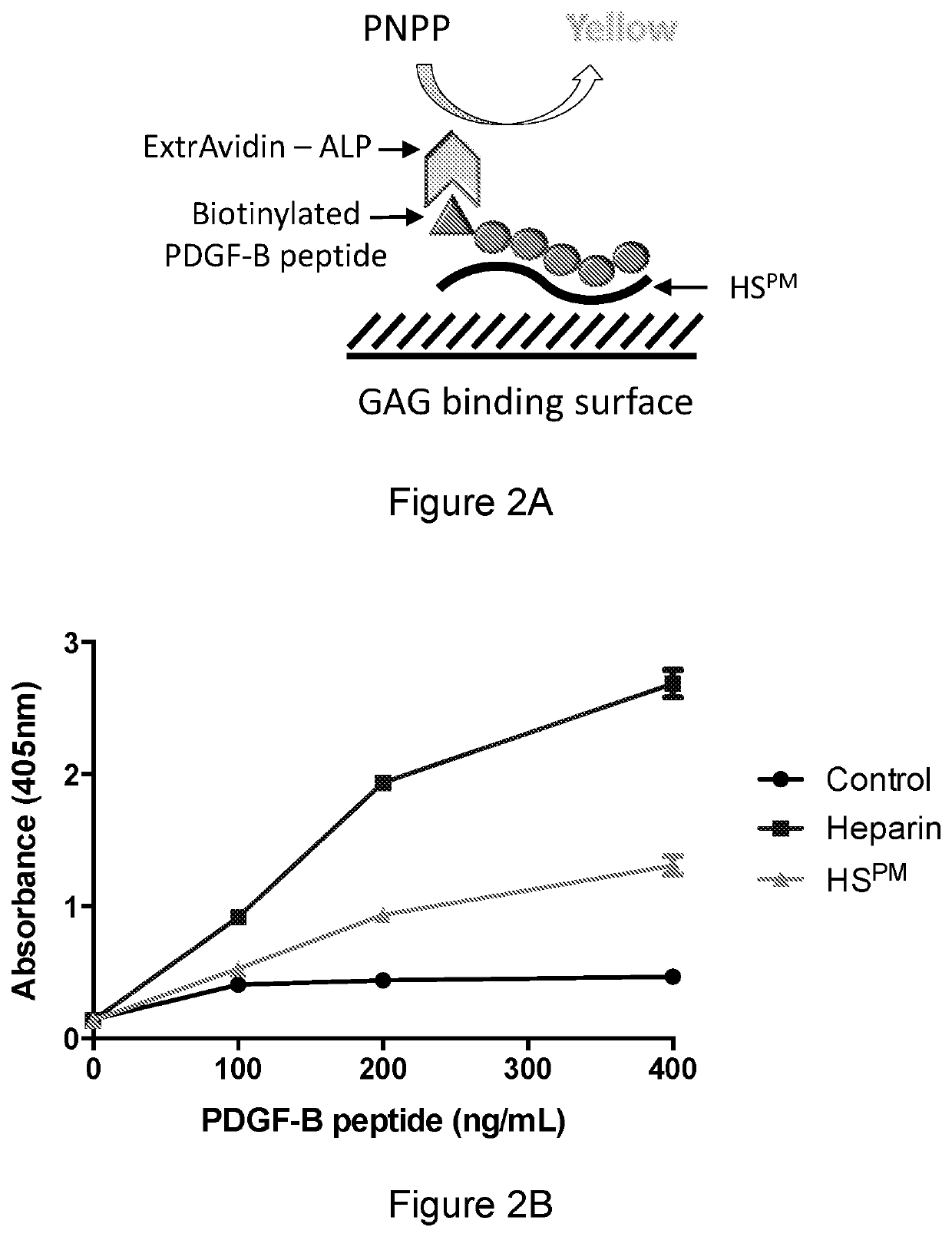 PDGF-B /PDGF-BB binding variants of heparan sulfates