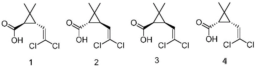 Method for synthesizing esbiothrin pesticide intermediate through enzyme technology