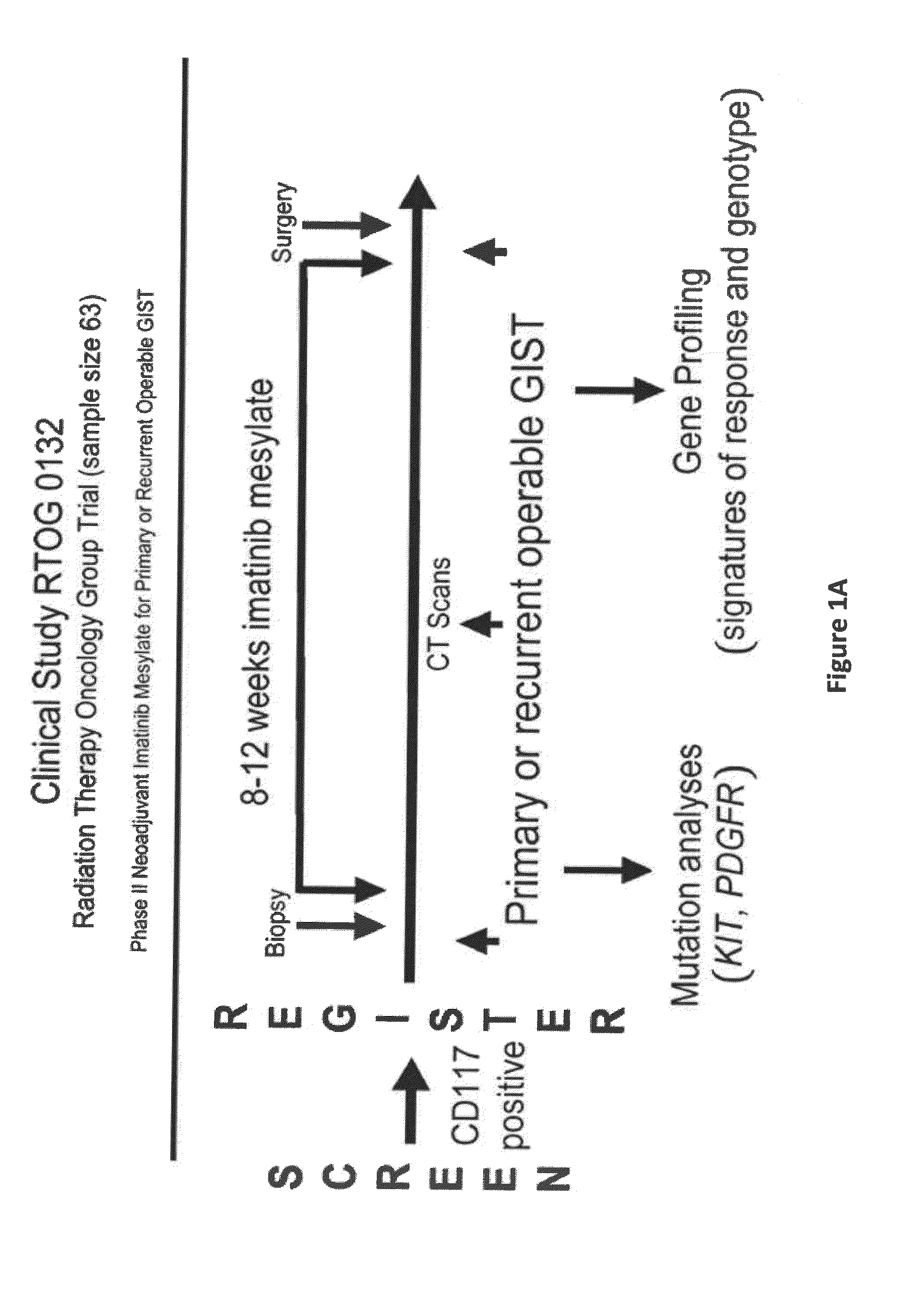 Gene expression signatures associated with response to imatinib mesylate in gastrointestinal stromal tumors and use thereof for predicting patient response to therapy and identification of agents which have efficacy for the treatment of cancer