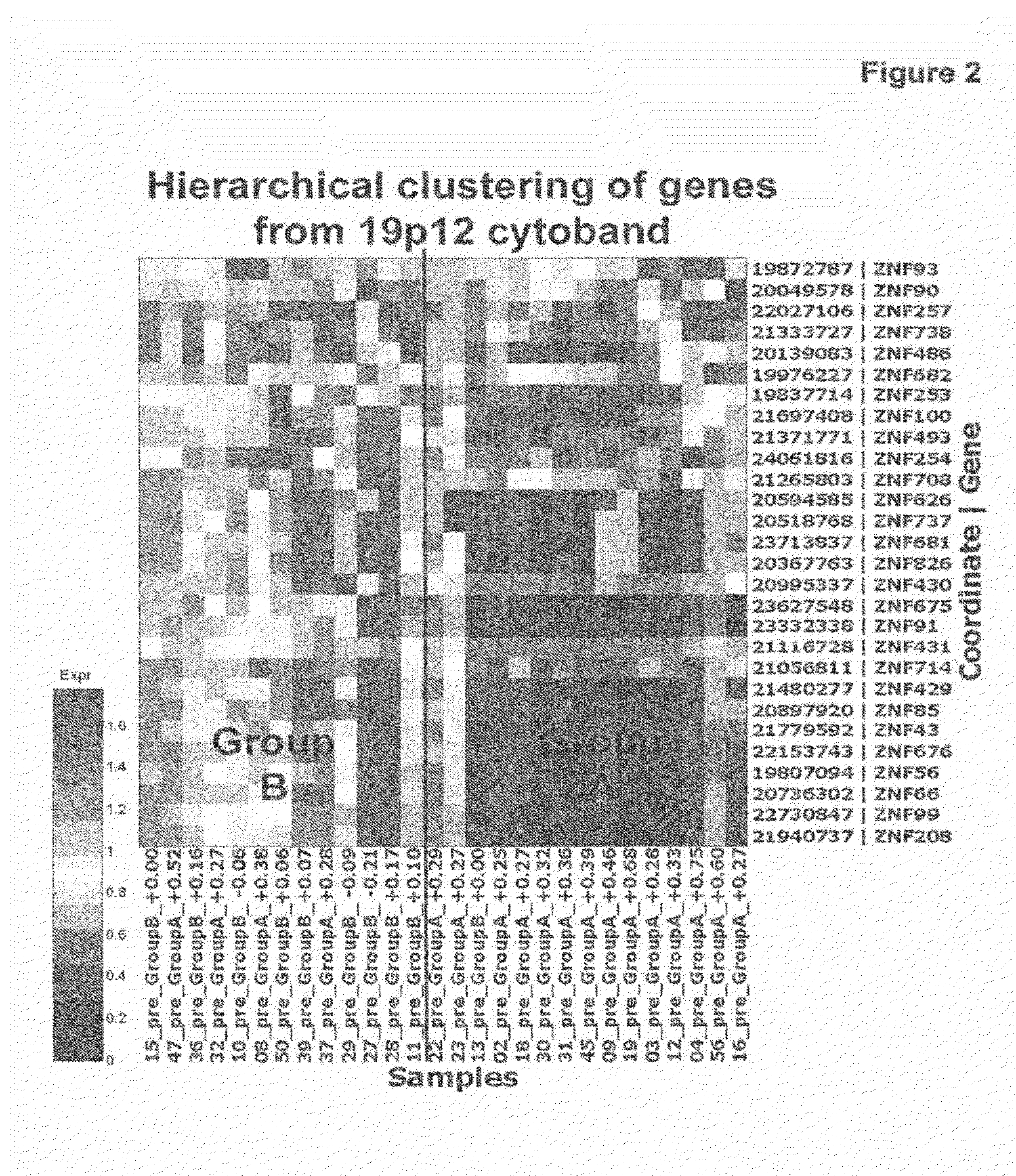 Gene expression signatures associated with response to imatinib mesylate in gastrointestinal stromal tumors and use thereof for predicting patient response to therapy and identification of agents which have efficacy for the treatment of cancer