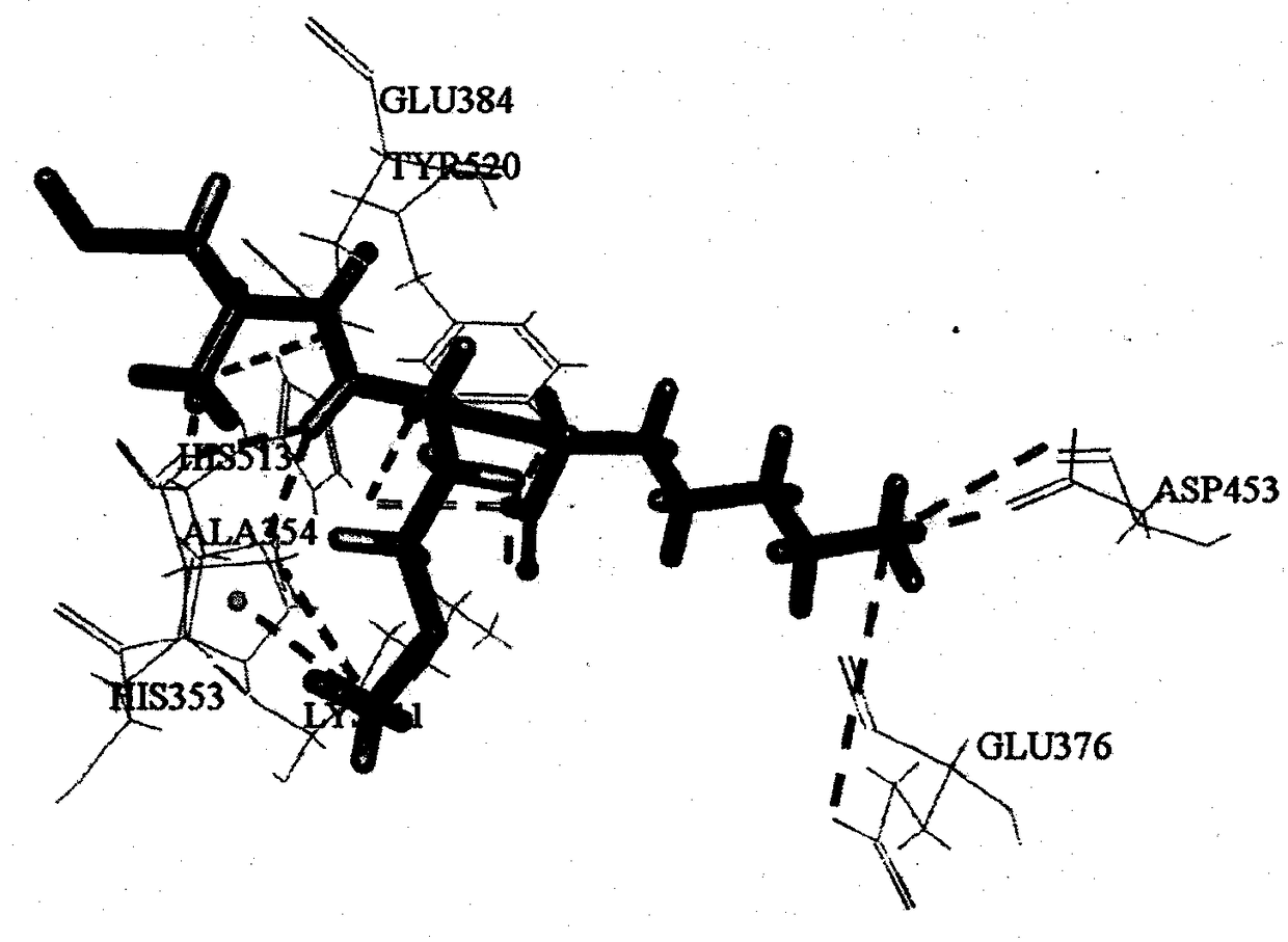 Tripeptide with ACE inhibiting activity and application thereof