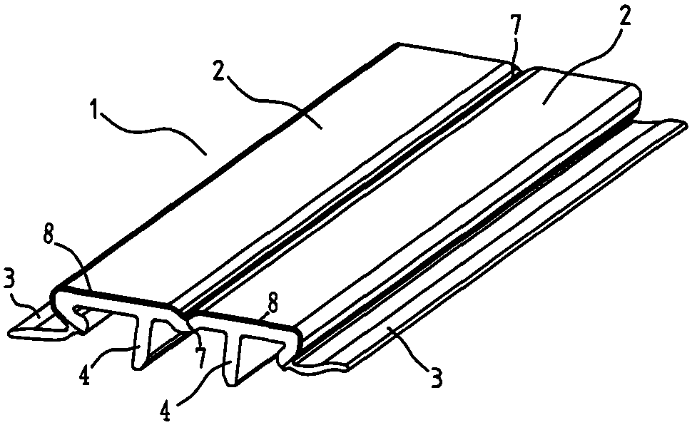 Roof molding and its installation structure