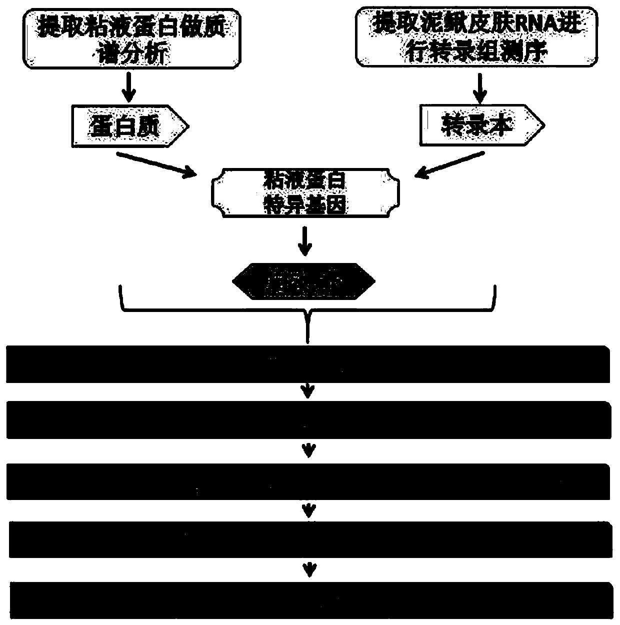 Preparation method of fish skin mucous gland bioreactor and application of preparation method