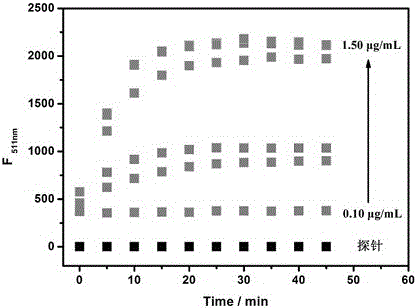 Double-photon fluorescent probe capable of fast detecting nitroreductase