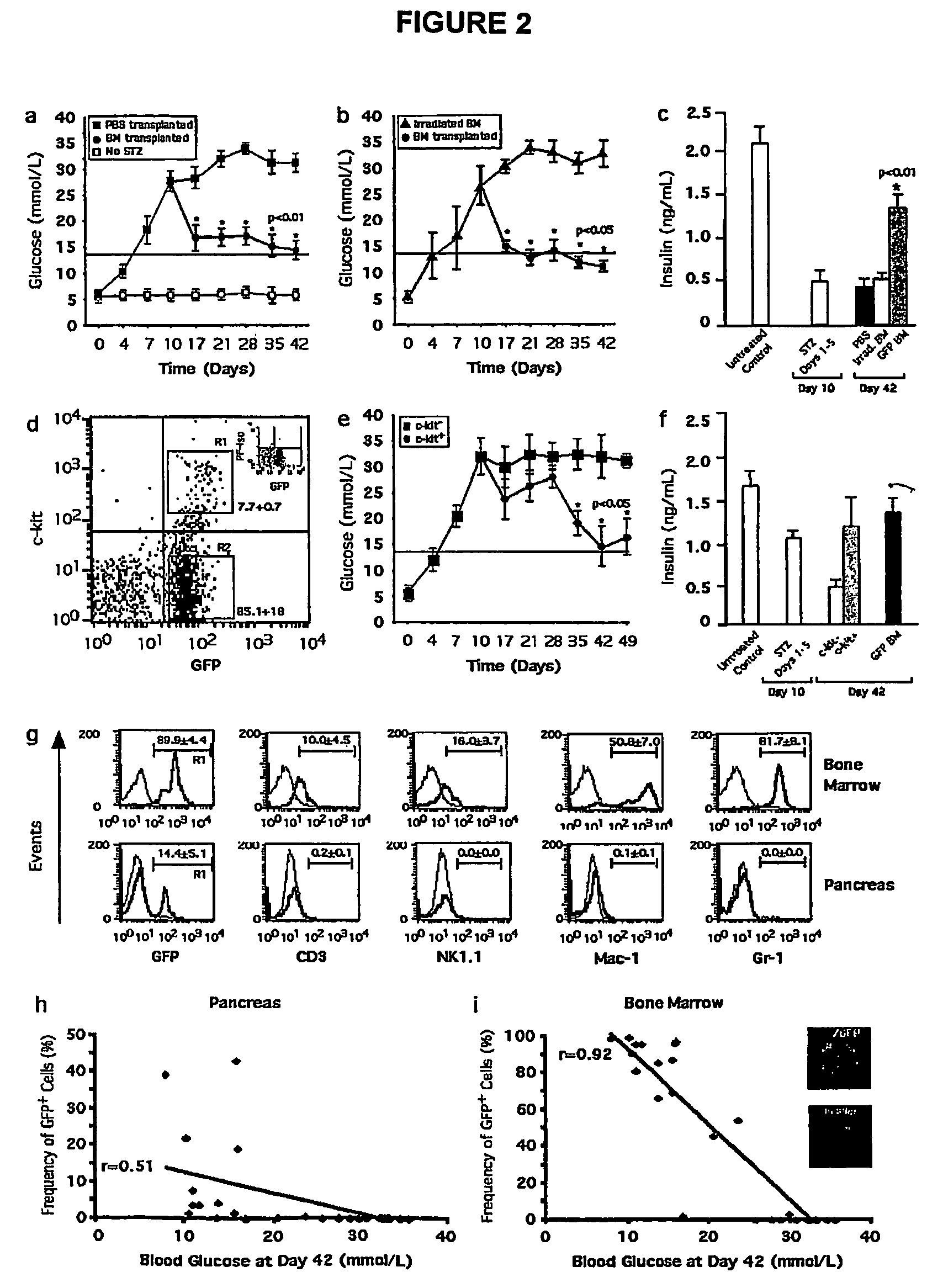 Regeneration initiating cells