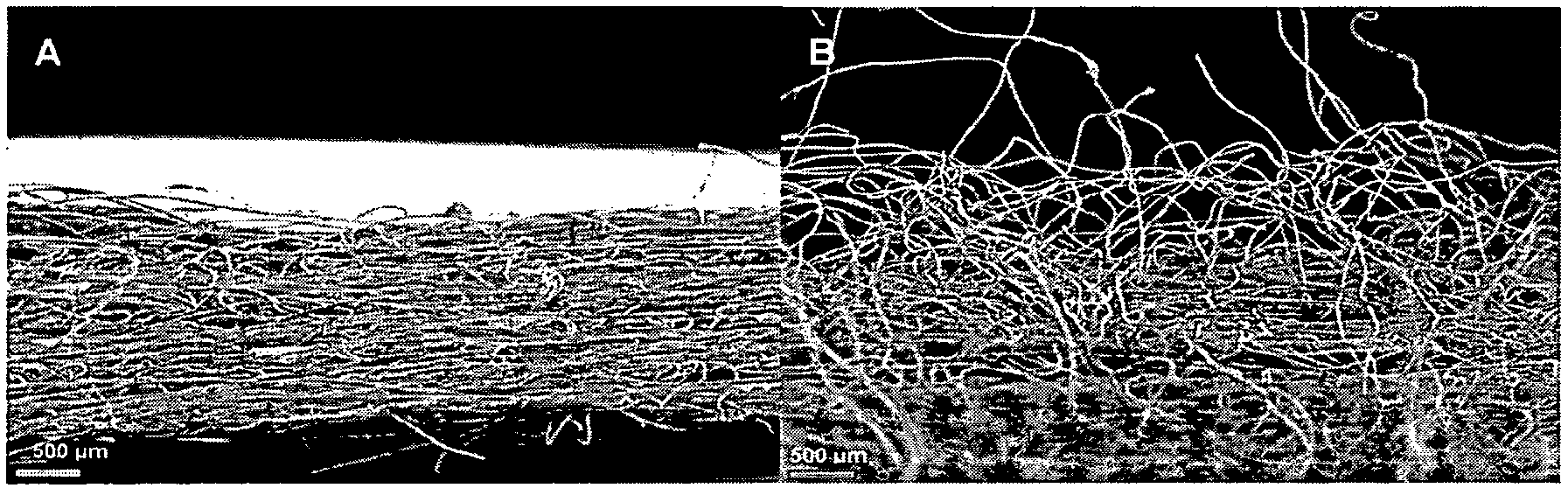 Methods to modify the fibrous landing layer of a foam based fastener and products made from the same