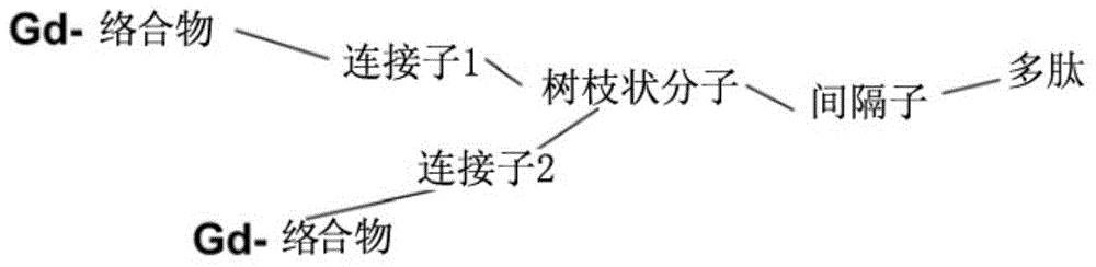 Polypeptide molecule image probe targeting mesenchymal stem cell, preparation method of polypeptide molecule image probe, and mesenchymal stem cell marked by polypeptide molecule image probe