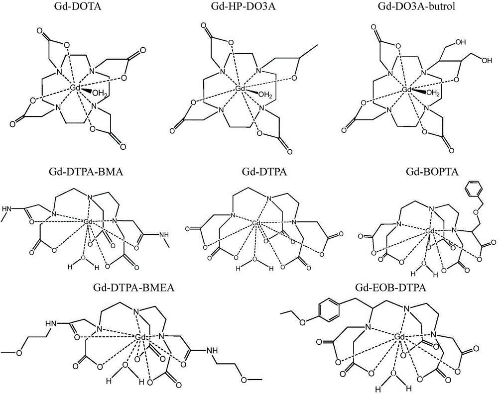 Polypeptide molecule image probe targeting mesenchymal stem cell, preparation method of polypeptide molecule image probe, and mesenchymal stem cell marked by polypeptide molecule image probe