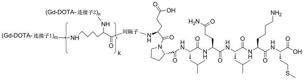 Polypeptide molecule image probe targeting mesenchymal stem cell, preparation method of polypeptide molecule image probe, and mesenchymal stem cell marked by polypeptide molecule image probe