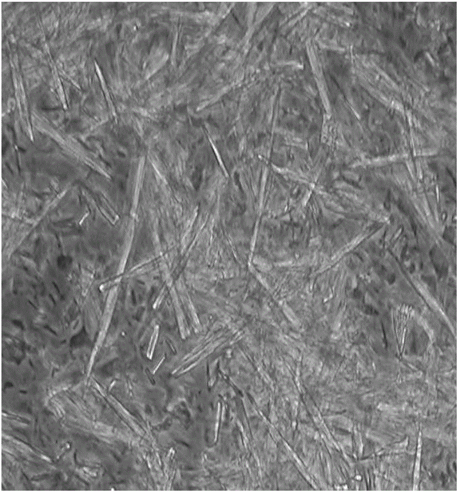 Dressing for repairing wound surface and preparing method thereof