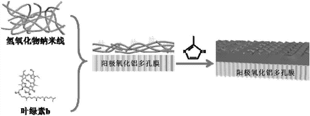 Preparation method of metal organic framework film modified by chlorophyll b and application thereof to photocatalytic reduction carbon dioxide