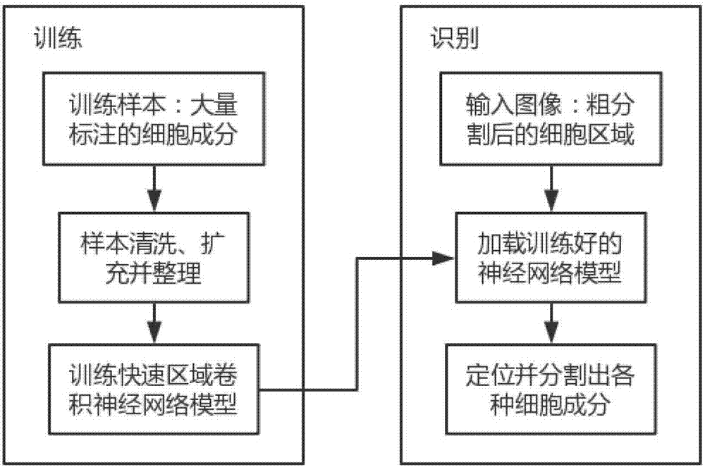 Unsupervised cervical cell image automatic segmentation method and system