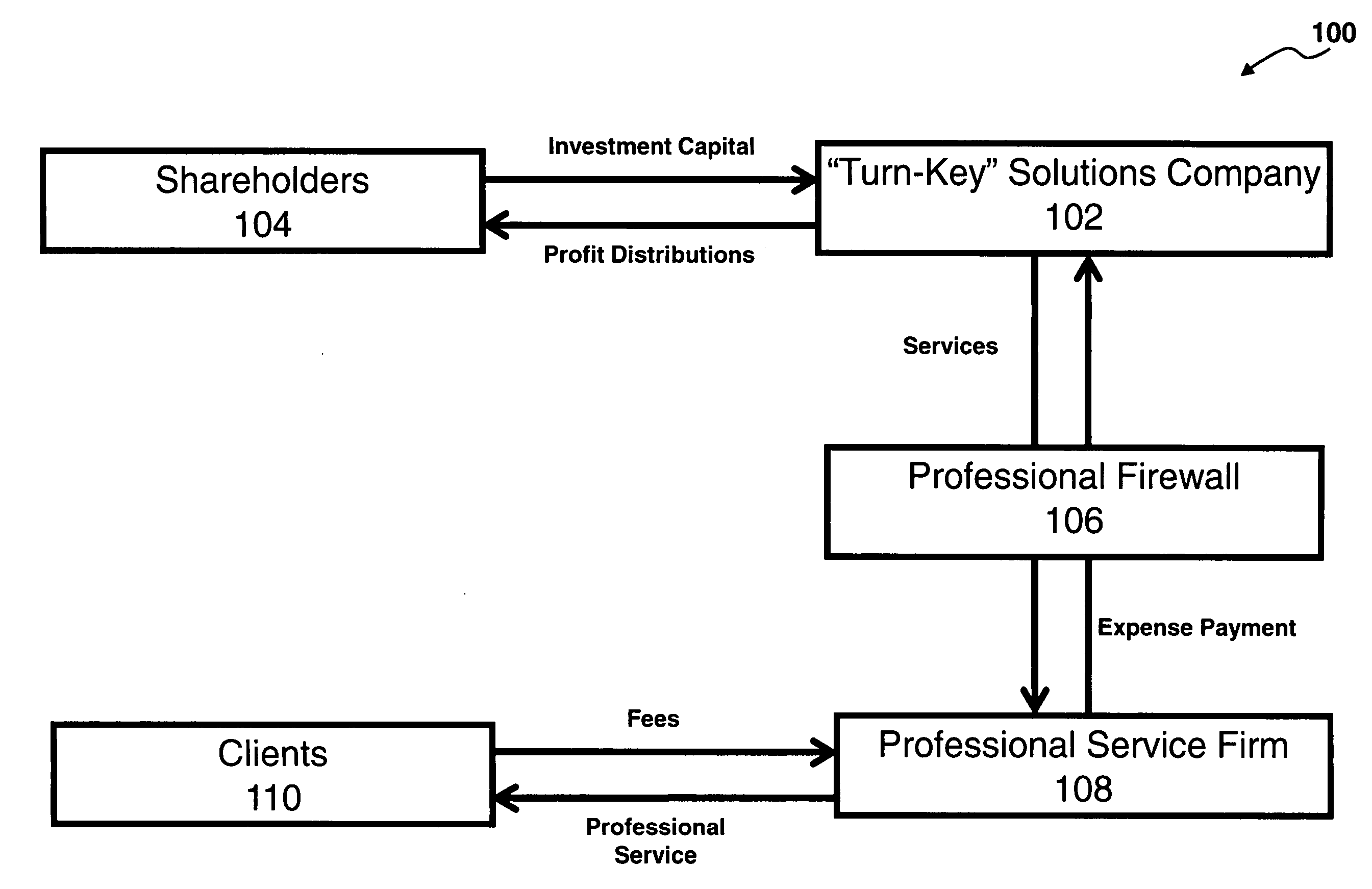 System and method for facilitating the establishment and operations of a professional service organization