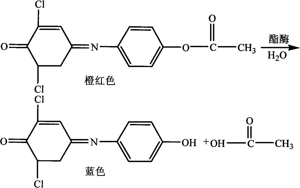 Preparation method for ethyl urethane detection test paper and detection method of test paper