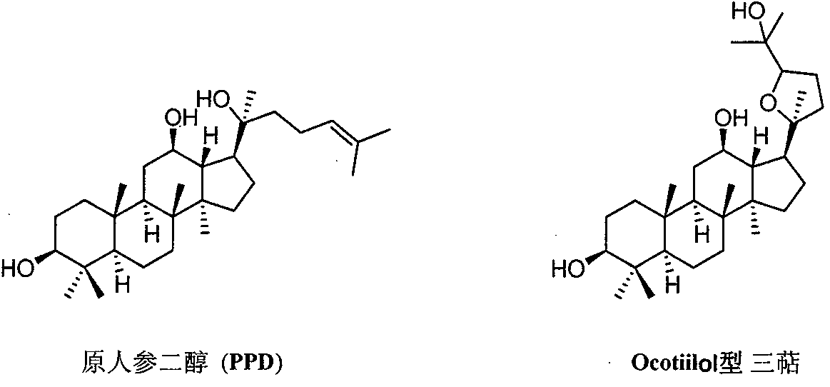 Preparation method and application of (20s, 24r/s)-epoxy-12β, 25-hydroxyl-dammarane-3β-amine derivative