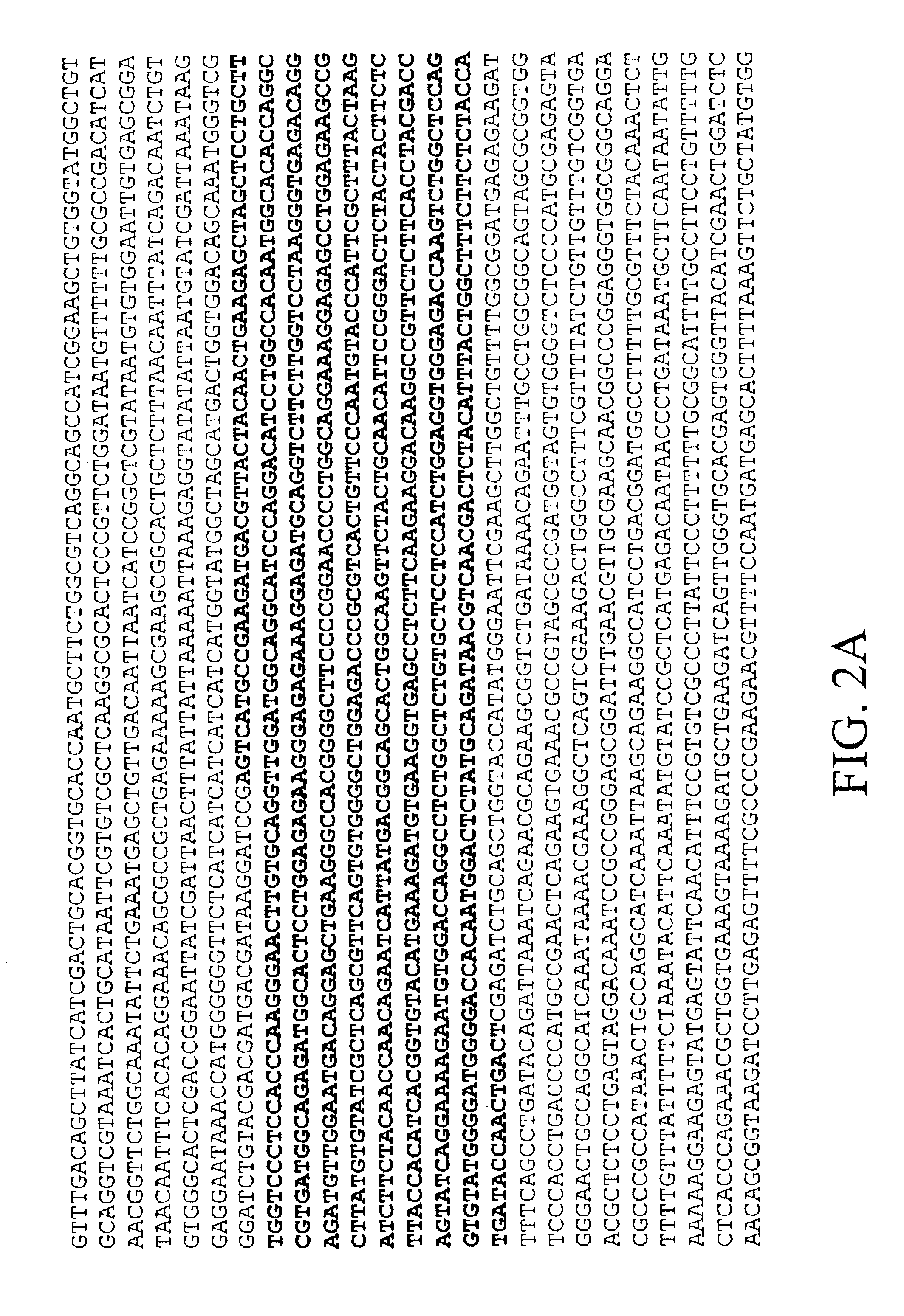 OBG3 globular head and uses thereof