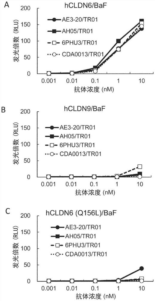 Claudin-6 binding molecules and uses thereof