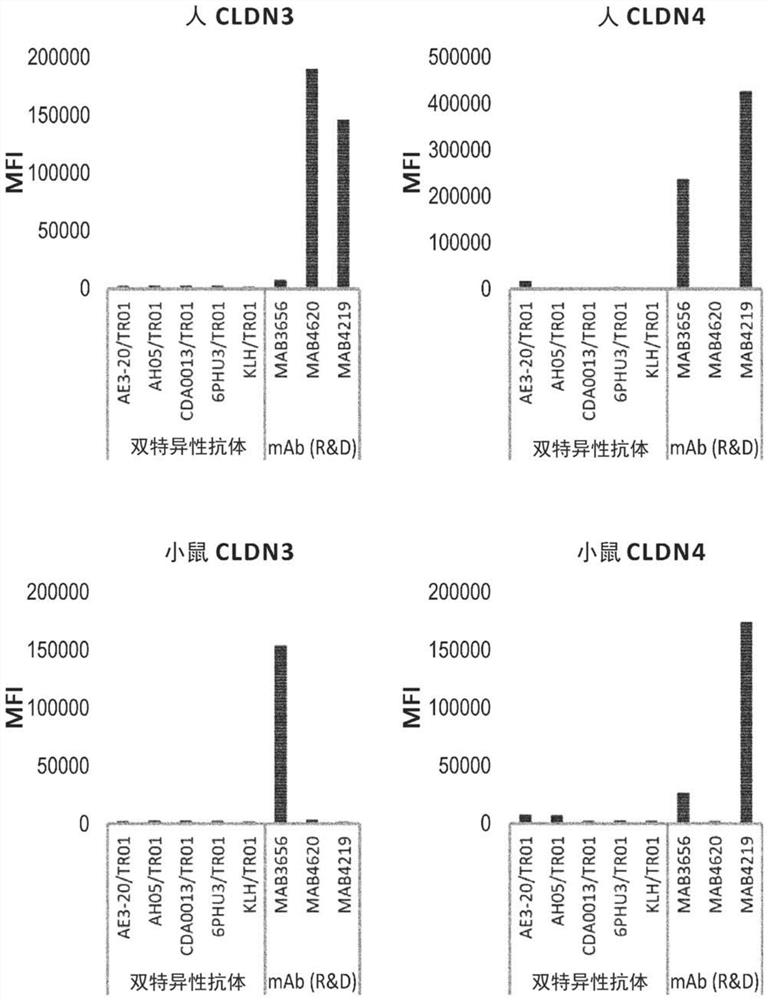 Claudin-6 binding molecules and uses thereof