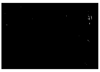 Method for efficiently screening low-temperature bacteriophages