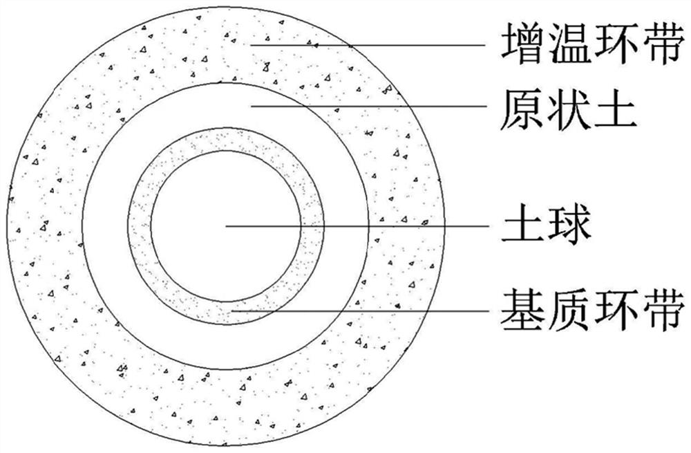 Construction method of near-tropical rainforest plant community