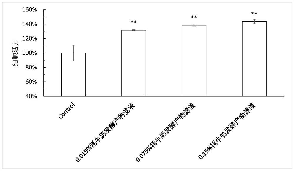 Application of yak milk fermentation extract