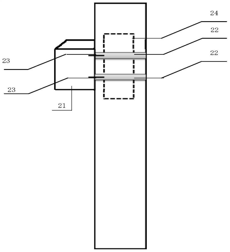 Intelligent street lamp and method for monitoring insect pests