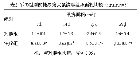 Fly larva protein preparation and application thereof