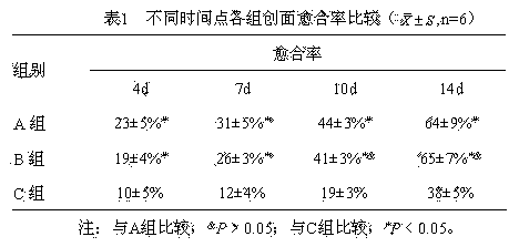 Fly larva protein preparation and application thereof