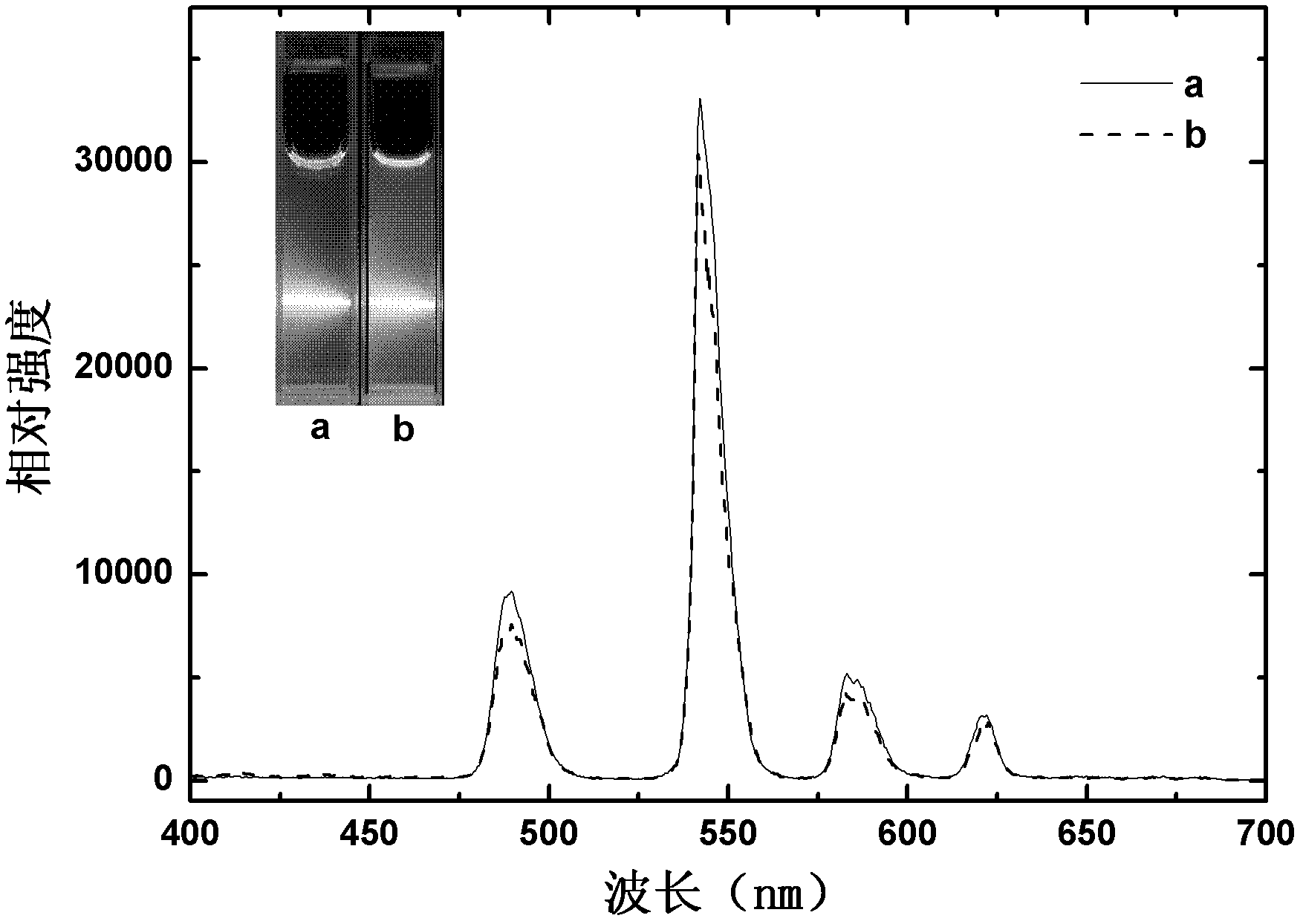 Preparation method of biotin-modified and rare earth-doped inorganic fluorescent nanoparticles