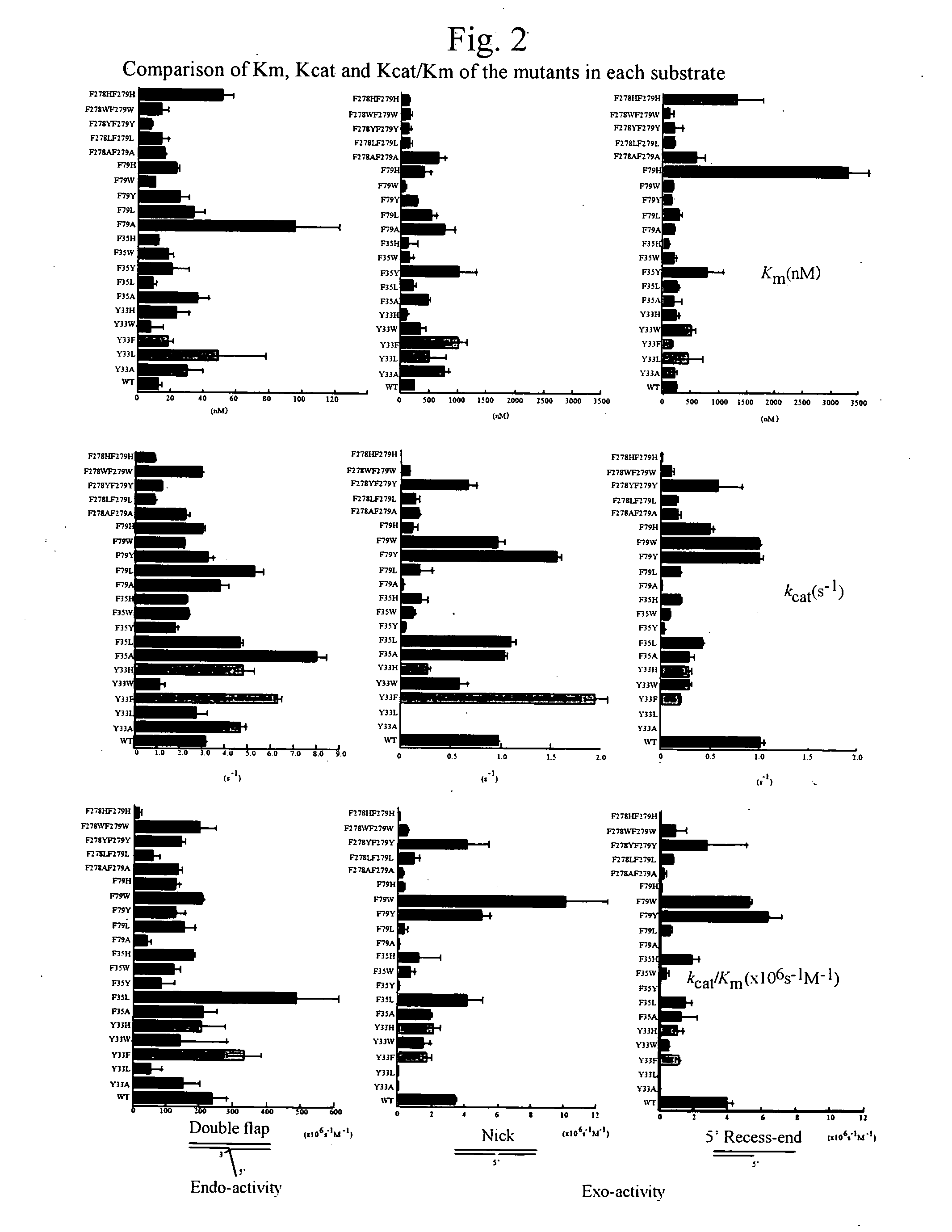 Flap Endonuclease Mutants