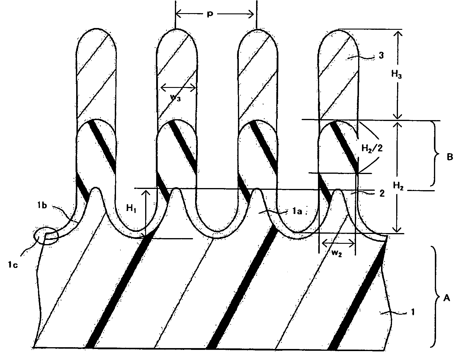 Wire grid polarizer and liquid crystal display device using the polarizer