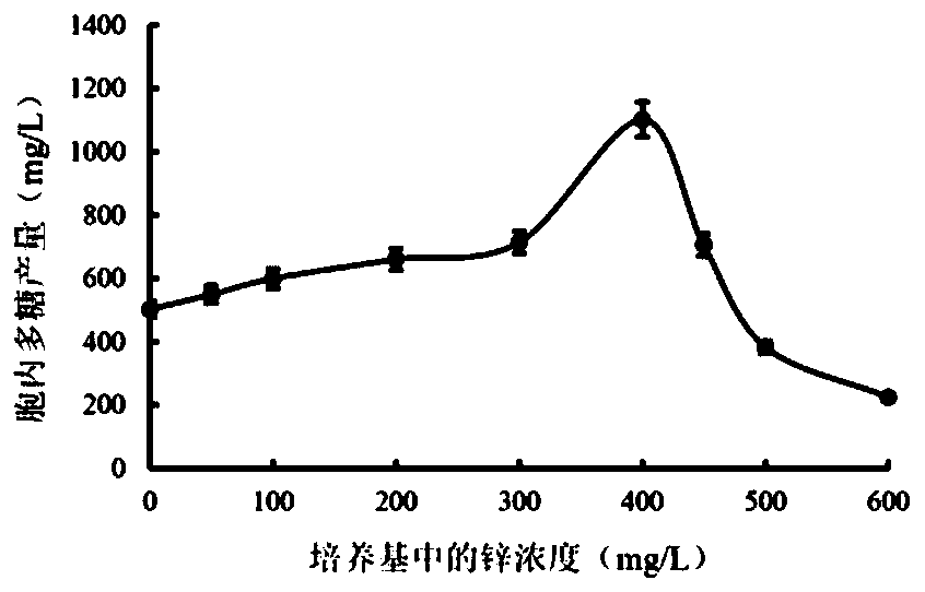 A method for increasing the production of D. spp. mycelium and polysaccharides and application of D. spp. polysaccharides