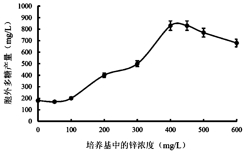 A method for increasing the production of D. spp. mycelium and polysaccharides and application of D. spp. polysaccharides