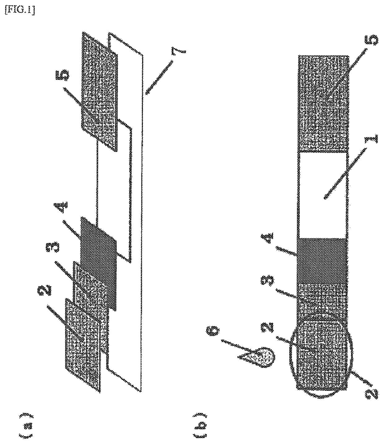 Hemolytic <i>Streptococcus </i>diagnostic immunochromatography reagent, kit, and detection method