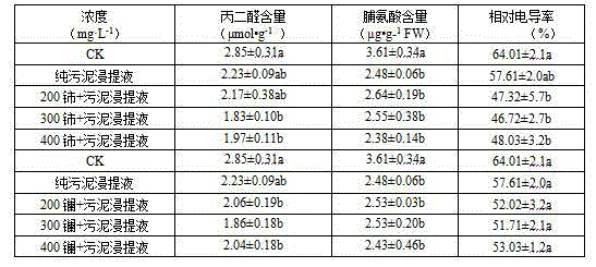 Method for improving salt tolerance of festuca ovina by hybrid seed soaking liquid of sludge and rare earth