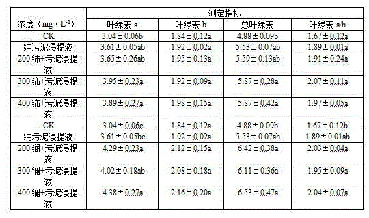 Method for improving salt tolerance of festuca ovina by hybrid seed soaking liquid of sludge and rare earth