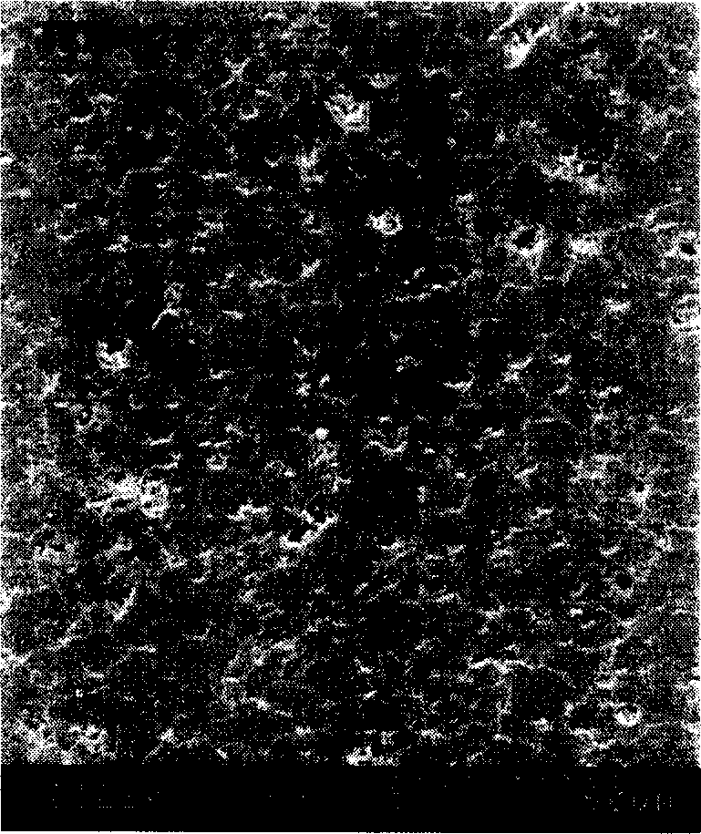 Ultra-high coercive force sintered Nd-Fe-B magnetic material and preparing process thereof