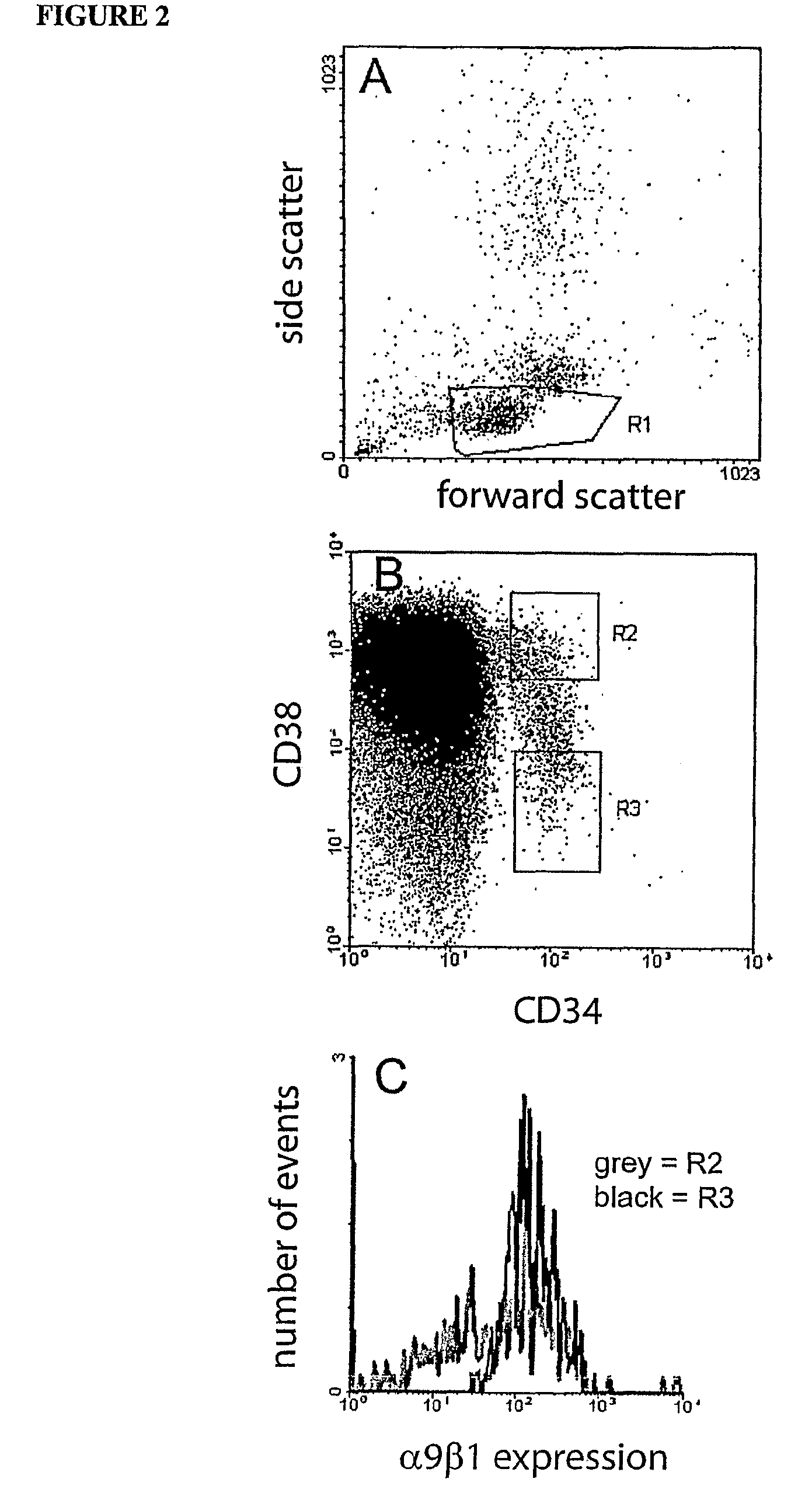 Selecting, culturing and creating lineage committed hematopoietic stem cells