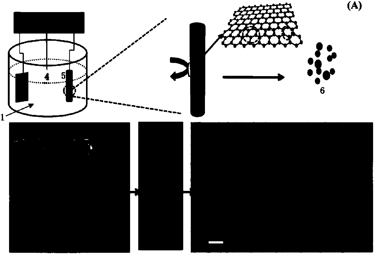 Carbon quantum dot-polyaniline/carbon fiber integrated composite material and its preparation method and application