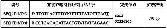 Breast cancer-related gene BRCA2 locus g.32336265G&gt;T mutant and applications thereof