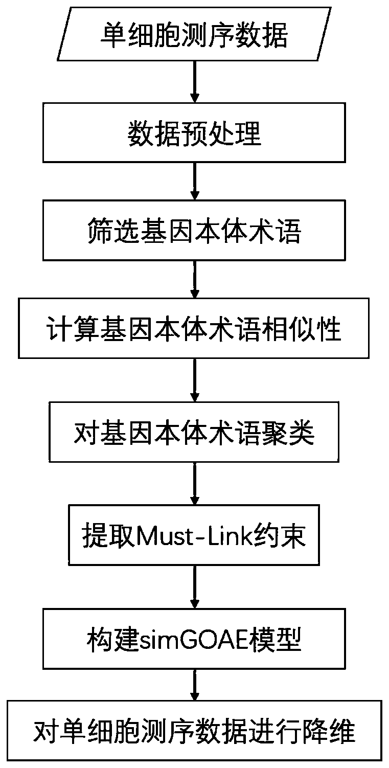 Single-cell sequencing data dimension reduction method fusing gene ontology and neural network