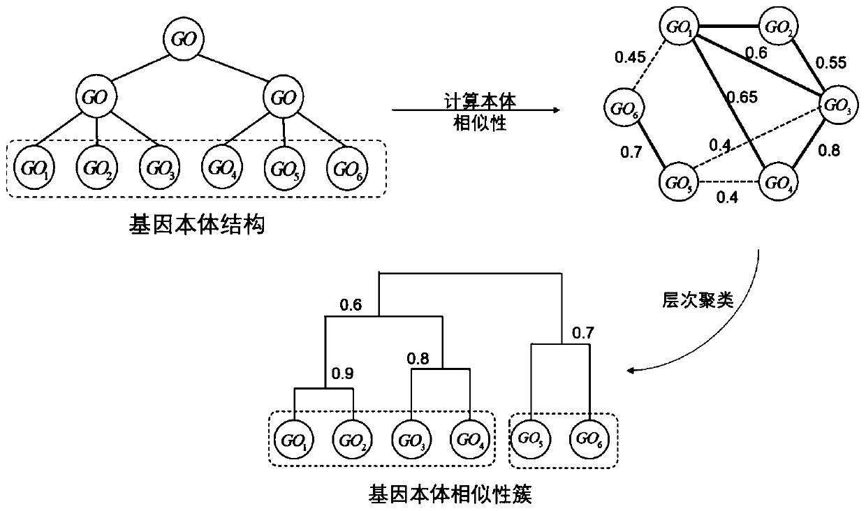 Single-cell sequencing data dimension reduction method fusing gene ontology and neural network