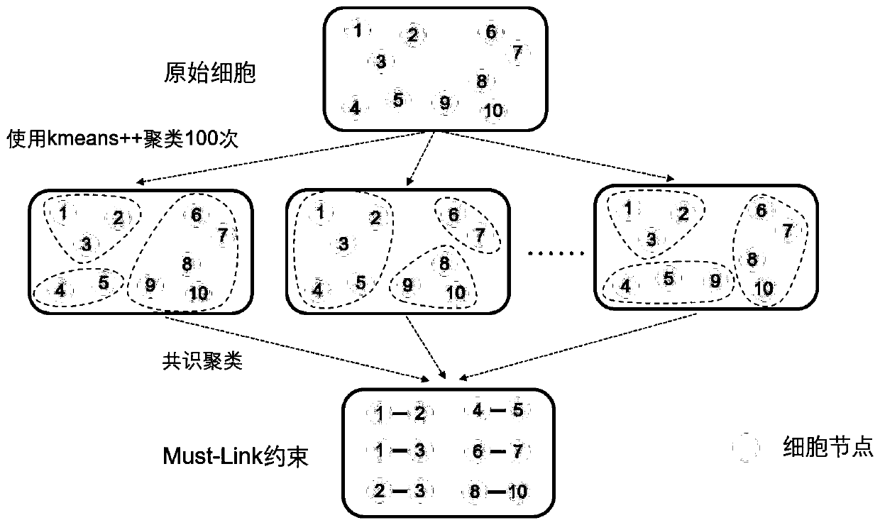 Single-cell sequencing data dimension reduction method fusing gene ontology and neural network