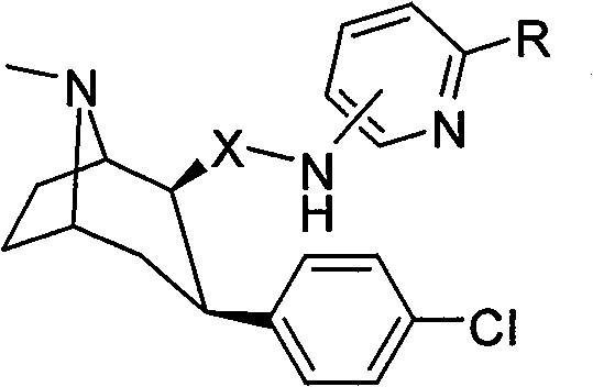 Dopamine transporter imaging medicine and preparation method thereof